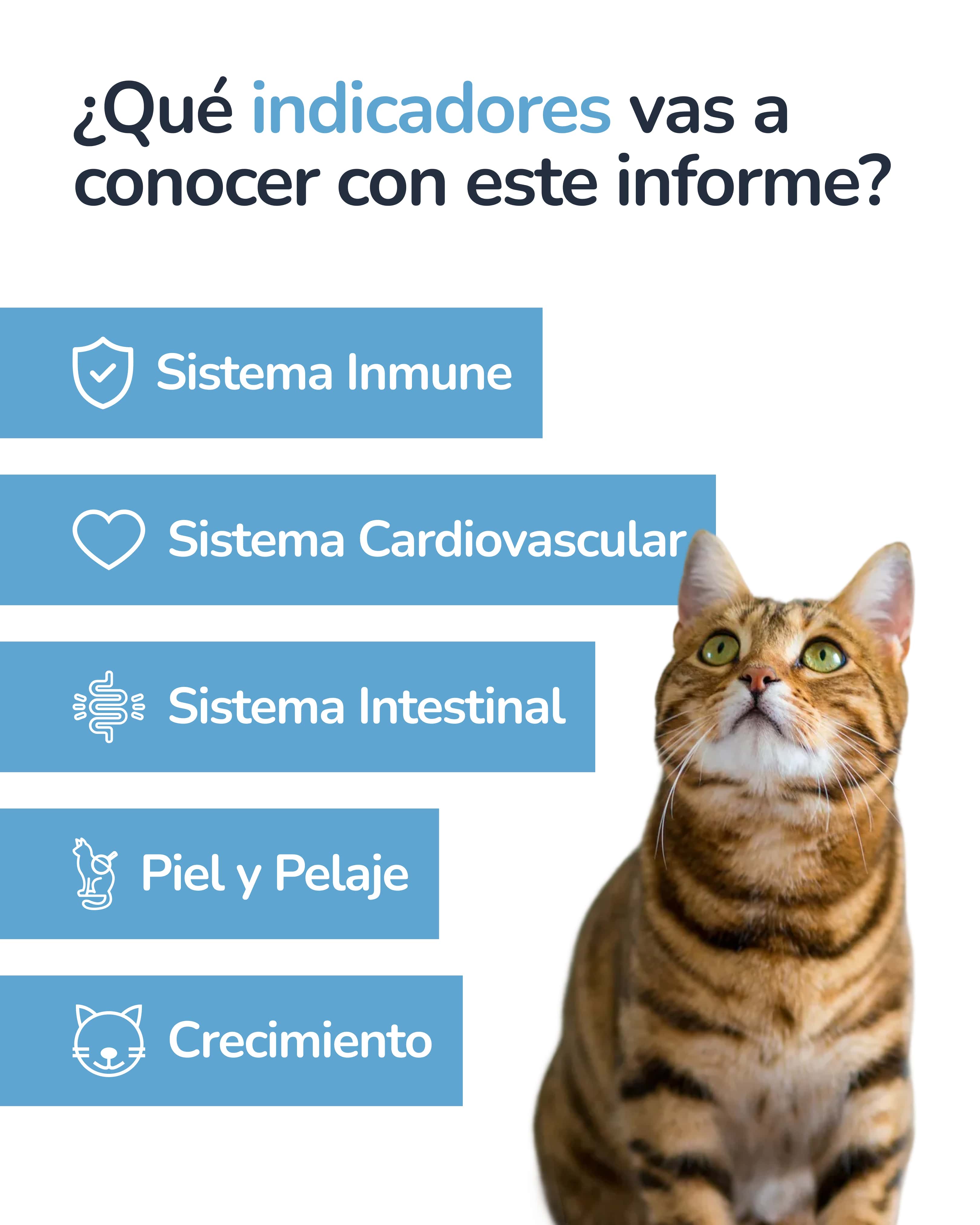 Indicador epigenético felino 2